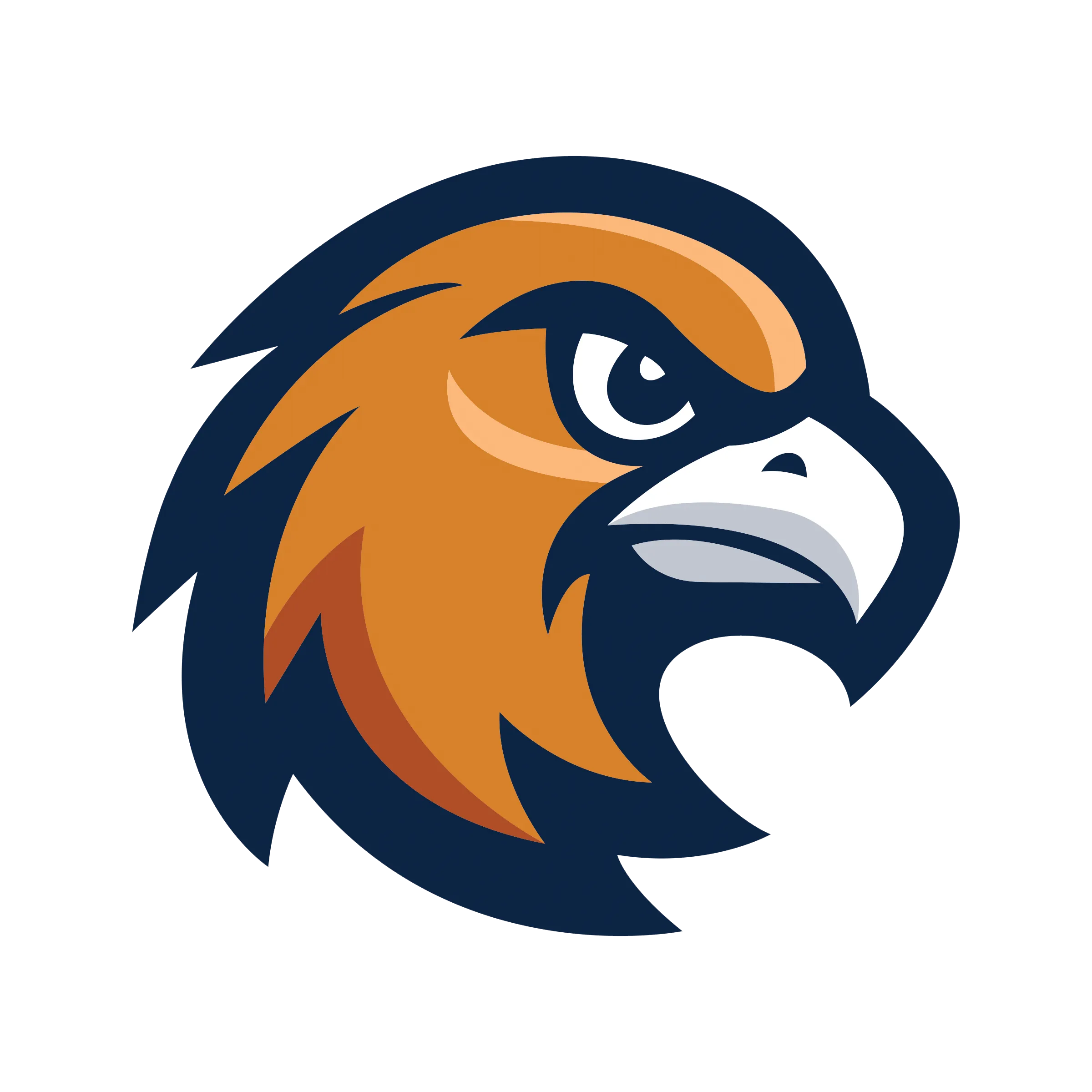 FC Seahawks Mascot